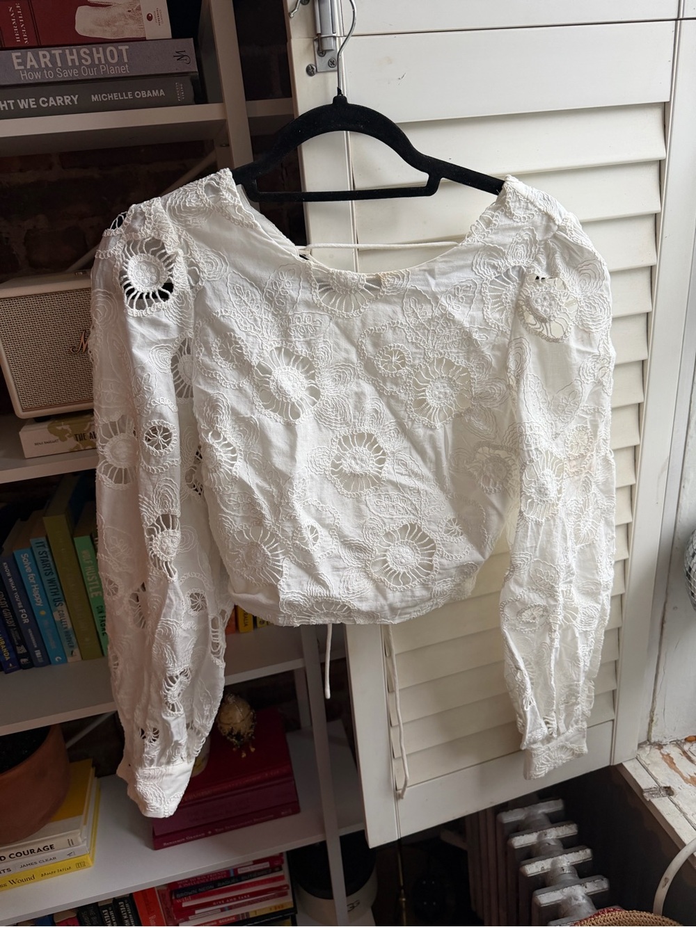 White Lace Eyelet Long-Sleeve Crop Top